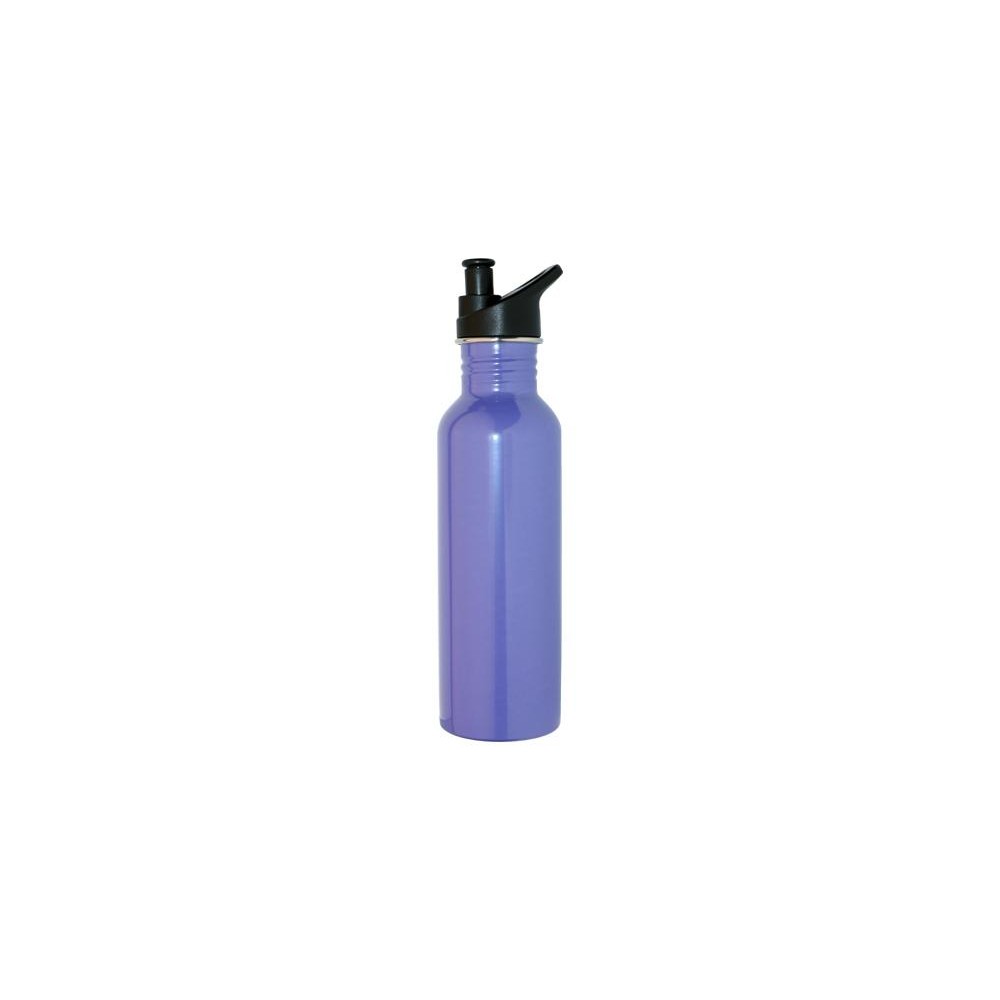 750ml stainless steel bottle purple 750ml stainless steel bottle purple