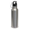 Cameron Nomad Vacuum Bottle Stainless carabiner lid Cameron Nomad Vacuum Bottle Stainless carabiner lid