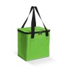eaton cooler bag bright green
