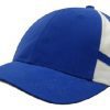 campania brushed cap2 campania brushed cap2