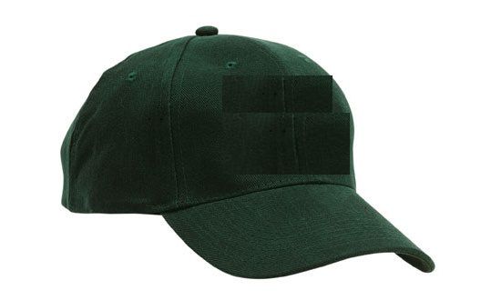 jericho brushed cap jericho brushed cap