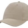 liena budget cap1 liena budget cap1