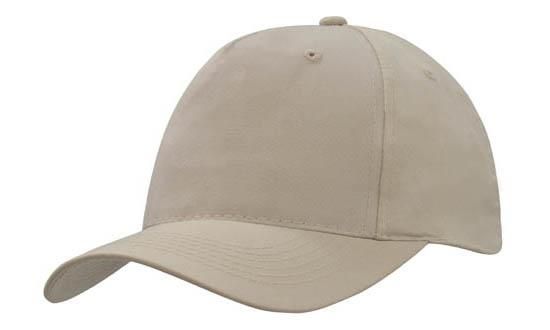 liena budget cap1 liena budget cap1