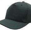 liena budget cap2 liena budget cap2