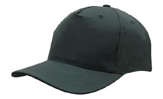 liena budget cap2 liena budget cap2