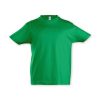 hazlet sols imperial kids t shirt kelly green hazlet sols imperial kids t shirt kelly green