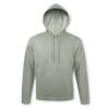 unisex hooded sweatshirt grey