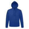 unisex hooded sweatshirt royal