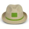 Denman Fedora Hat natural bright green Denman Fedora Hat natural bright green