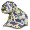 Mannum Cap main Mannum Cap main