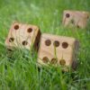Texas Dice Game feature Texas Dice Game feature