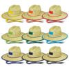 Avenel Wide Brim Straw Hat main Avenel Wide Brim Straw Hat main