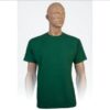 Rylee Sorell Tee bottle green