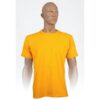 Rylee Sorell Tee gold