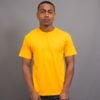 Waylon Kyogle Tee gold