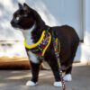 Penong Pet Harness feature Penong Pet Harness feature