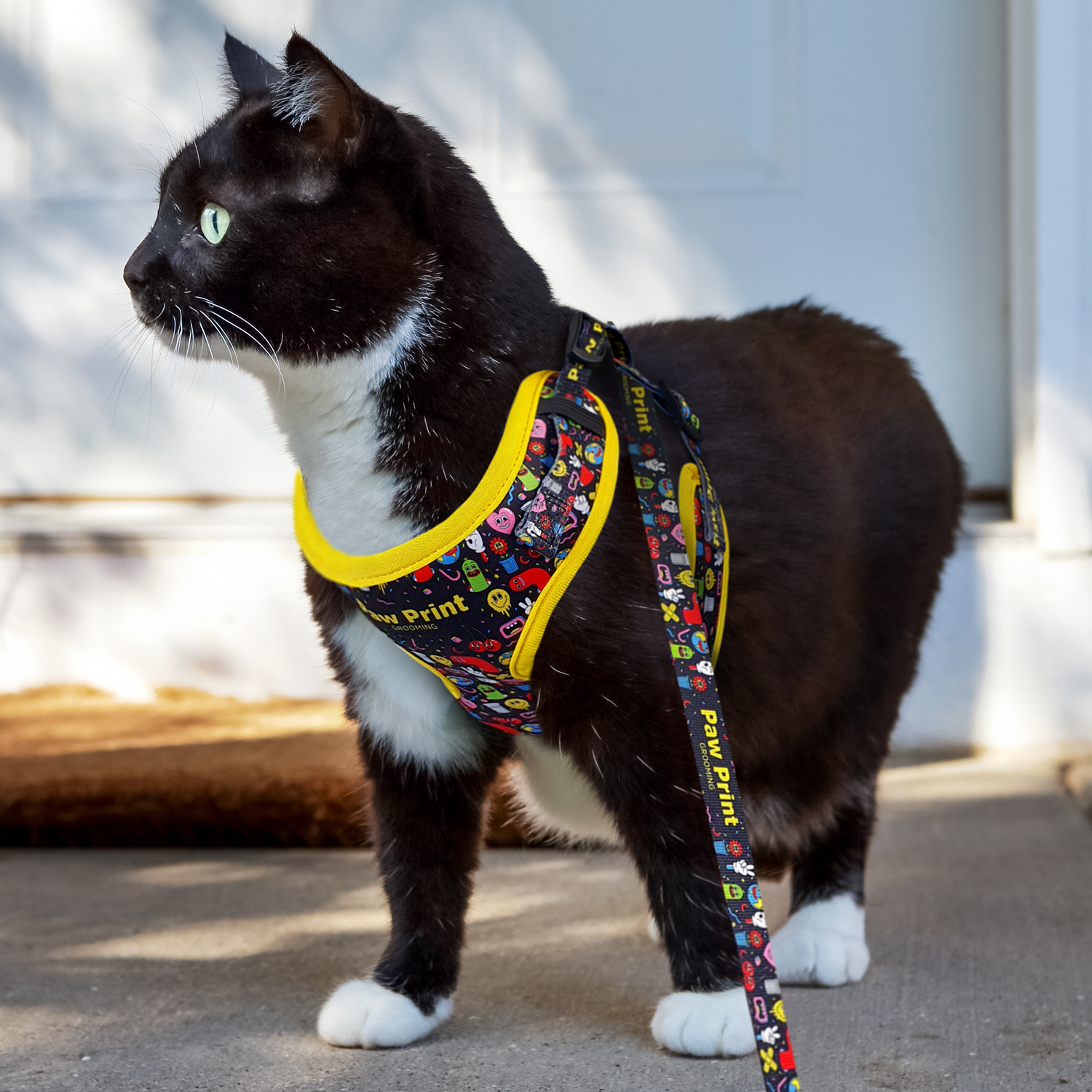 Penong Pet Harness feature Penong Pet Harness feature