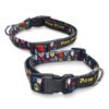 Queenscliff Dog Collar main Queenscliff Dog Collar main