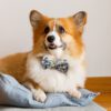 Seppeltsfield Pet Bow Tie feature Seppeltsfield Pet Bow Tie feature