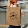 Kempsey Flat Handle Paper Bag Portrait Extra Large feature Kempsey Flat Handle Paper Bag Portrait Extra Large feature