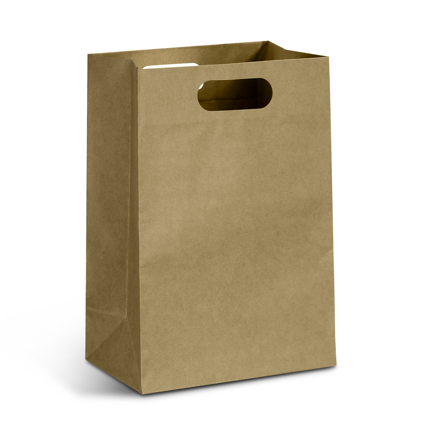 Laidley Die Cut Paper Bag Portrait Large detail Laidley Die Cut Paper Bag Portrait Large detail