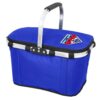 Frankston Picnic Cooler royal 2 Frankston Picnic Cooler royal 2