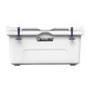 hamilton cooler box branded
