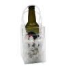 lilydale icy bags small main