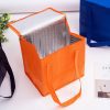 taranna non woven cooler bag feature