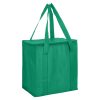 taranna non woven cooler bag green