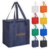 taranna non woven cooler bag main