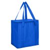 taranna non woven cooler bag royal blue