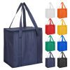taranna non woven cooler bag undecorated