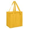 taranna non woven cooler bag yellow