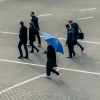 Sherbrooke BLUNT Exec Umbrella feature Sherbrooke BLUNT Exec Umbrella feature